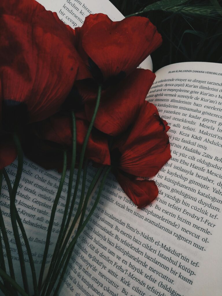 A close-up shot of vibrant red poppies placed on an open book, creating an artistic and moody composition.
